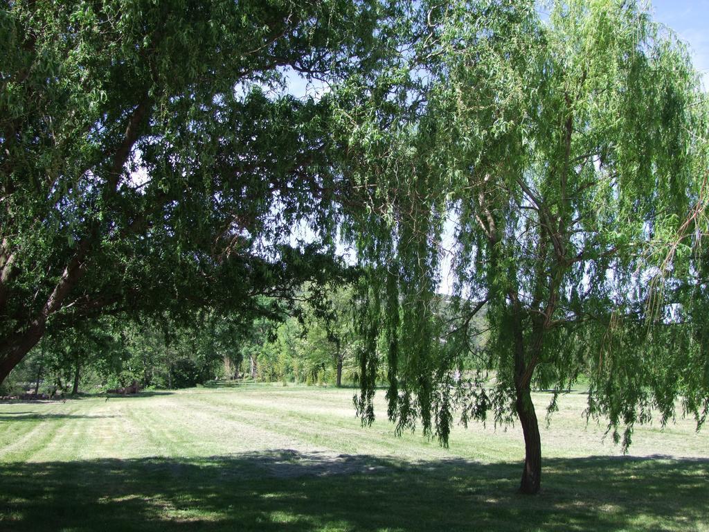 La Magnanerie D'Hotes ,Le Jardin Secret Sauve Exterior photo